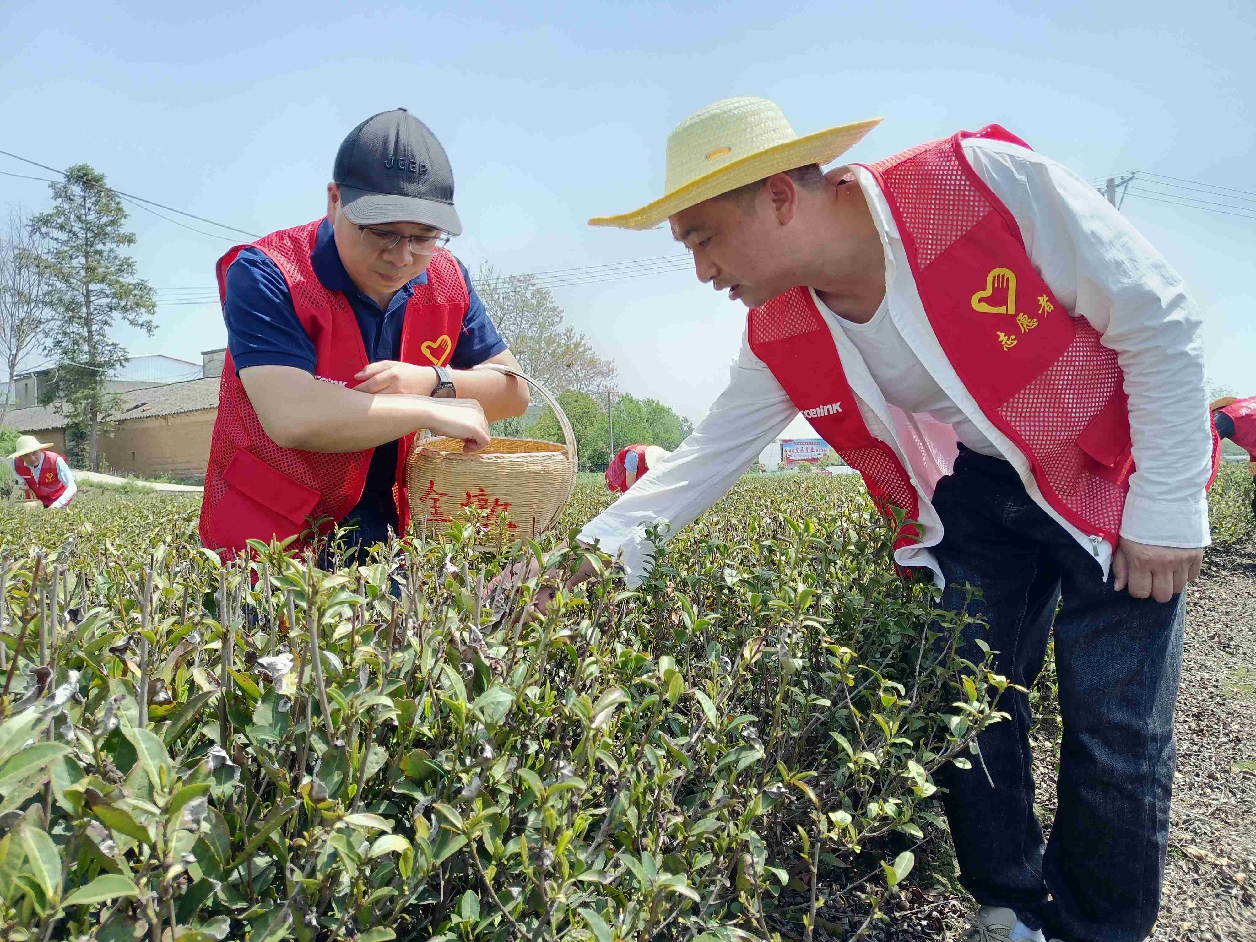 超凡国际官网 - 不凡成就非凡